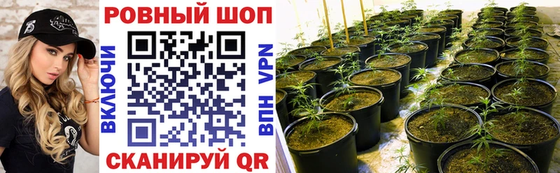 Как найти наркотики Реутов APVP  Мефедрон  АМФЕТАМИН  Псилоцибиновые грибы  ГАШИШ 