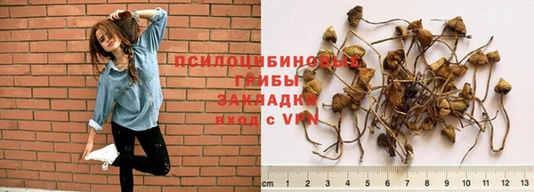 spice Белоозёрский